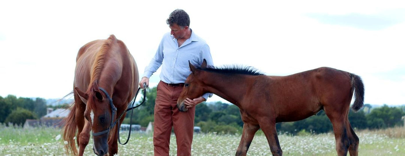 Paul Adams with a mare and foal